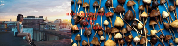 бошки Абдулино