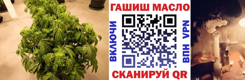 сайты даркнета как зайти  Южа  Дистиллят ТГК жижа 
